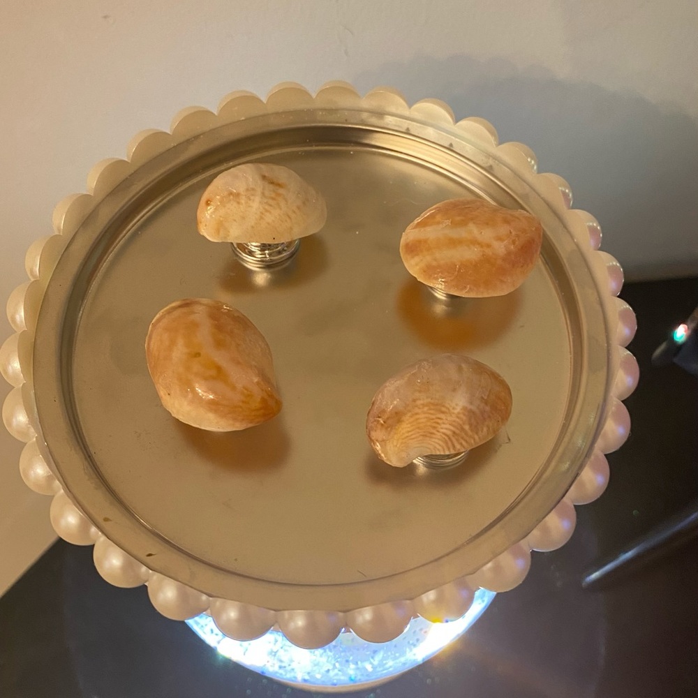 Seashell drawer pulls - Set of Four